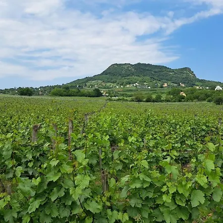 Villa Gyoengy-haz